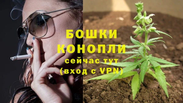 ГАЛЛЮЦИНОГЕННЫЕ ГРИБЫ Белокуриха